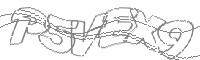 Check code